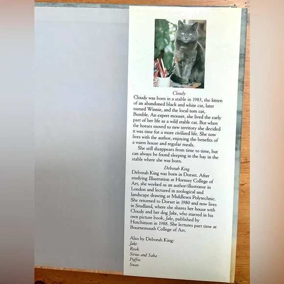 Children’s Book - “CLOUDY” - Picture 3 of 9